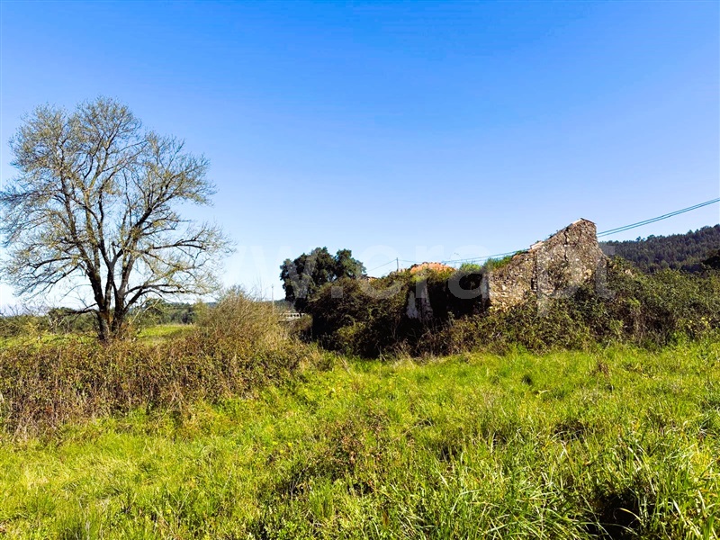Terreno com ruina  Ferreira do Zêzere, Águas Belas - 1472078 - 4