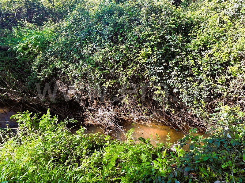 Terreno com ruina  Ferreira do Zêzere, Águas Belas - 1472078 - 7
