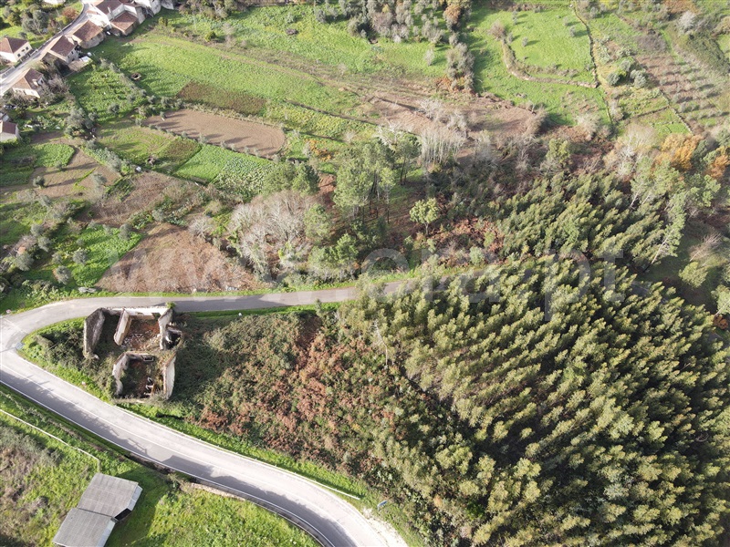 Terreno com ruina / Ferreira do Zêzere, Beco