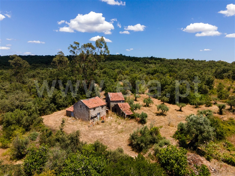 Terreno com ruina / Ferreira do Zêzere, Chãos