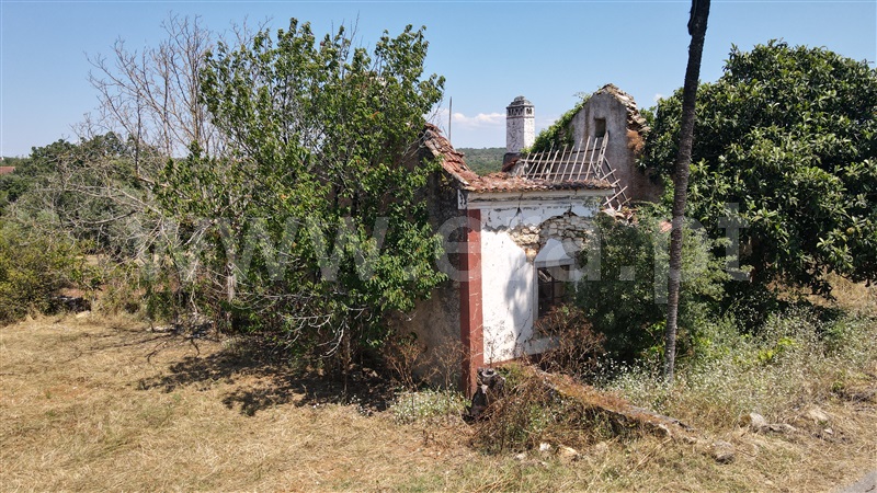 Terreno com ruina / Ferreira do Zêzere, Chãos