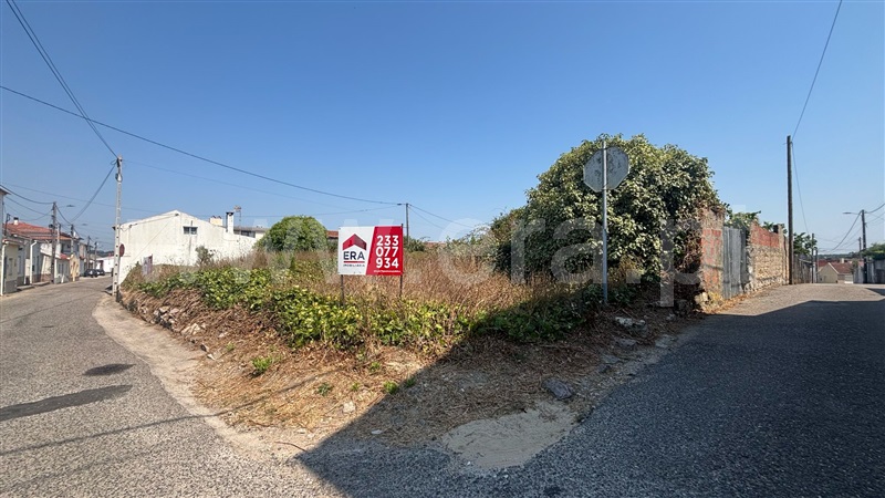 Terreno com ruina / Figueira da Foz, Alqueidão