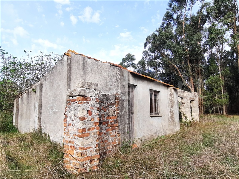 Terreno com ruina  Figueira da Foz, Sampaio - 1282251 - 4