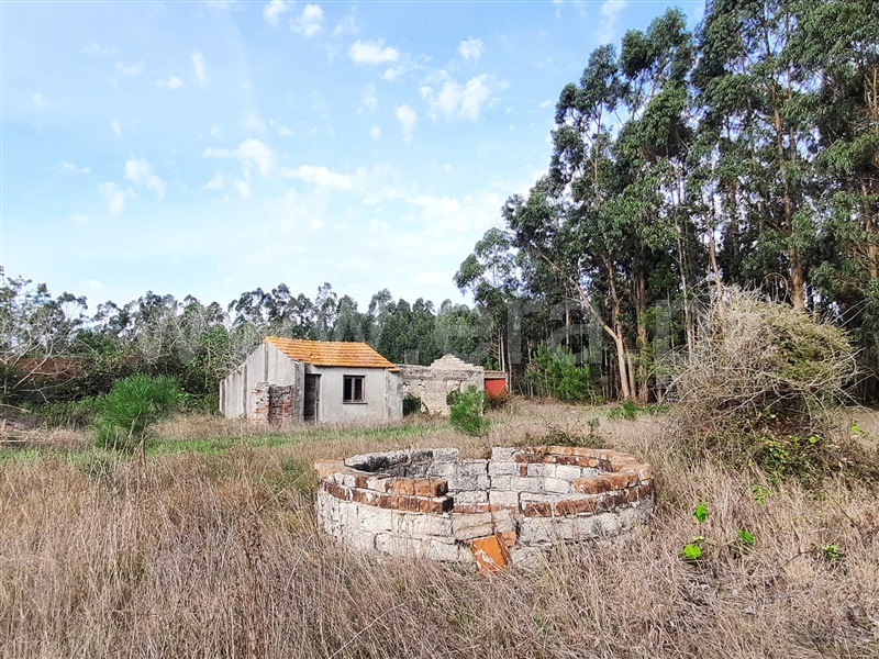 Terreno com ruina  Figueira da Foz, Sampaio - 1282251 - 5