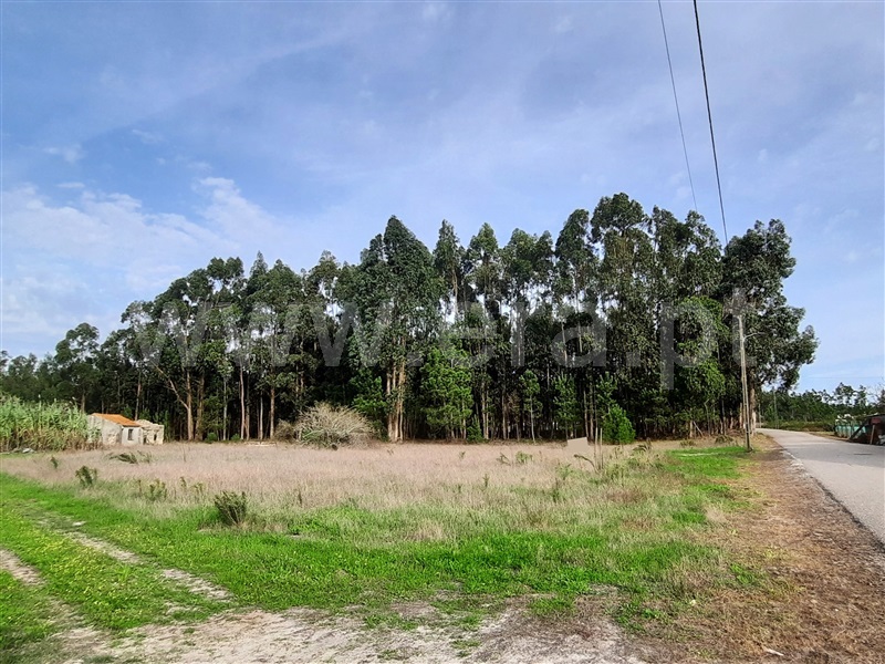 Terreno com ruina  Figueira da Foz, Sampaio - 1282251 - 7