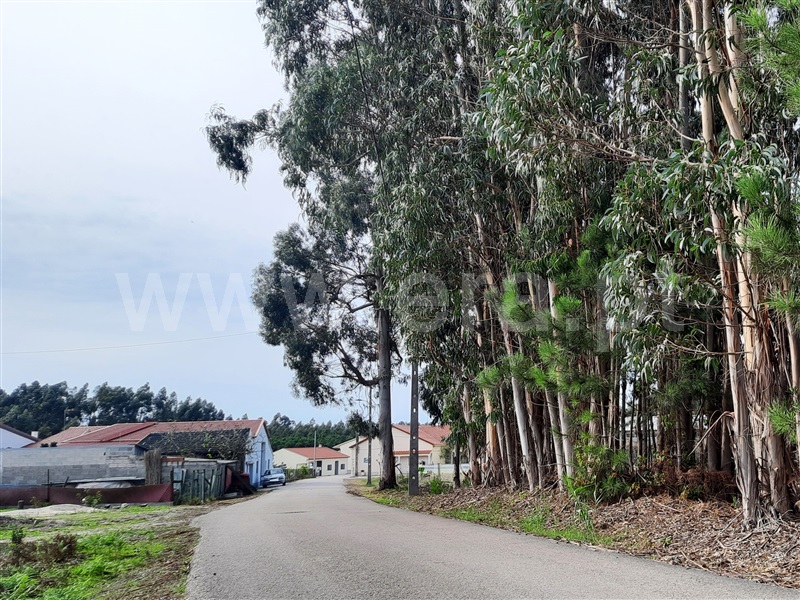 Terreno com ruina  Figueira da Foz, Sampaio - 1282251 - 8