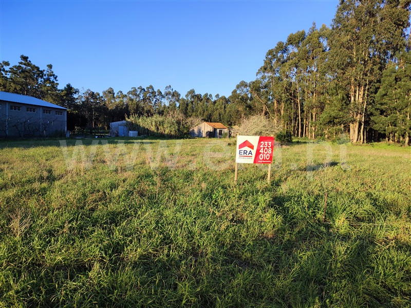 Terreno com ruina / Figueira da Foz, Sampaio