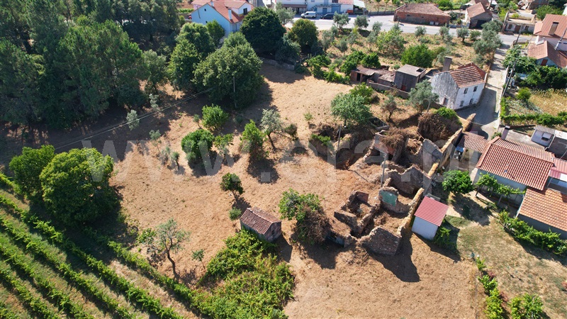 Terreno com ruina  Figueiró dos Vinhos, Arega - 1501353 - 4