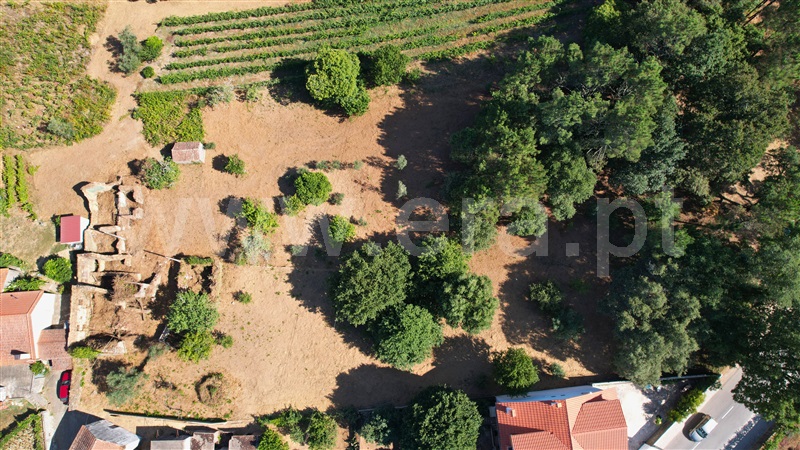 Terreno com ruina  Figueiró dos Vinhos, Arega - 1501353 - 8