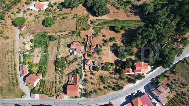 Terreno com ruina  Figueiró dos Vinhos, Arega - 1501353 - 9