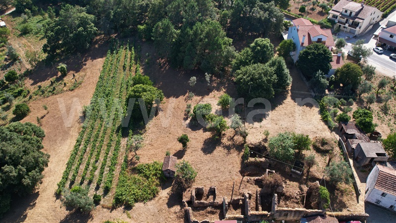Terreno com ruina  Figueiró dos Vinhos, Arega - 1501353 - 10