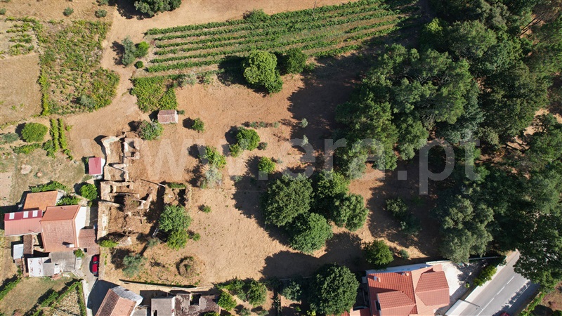 Terreno com ruina  Figueiró dos Vinhos, Arega - 1501353 - 11