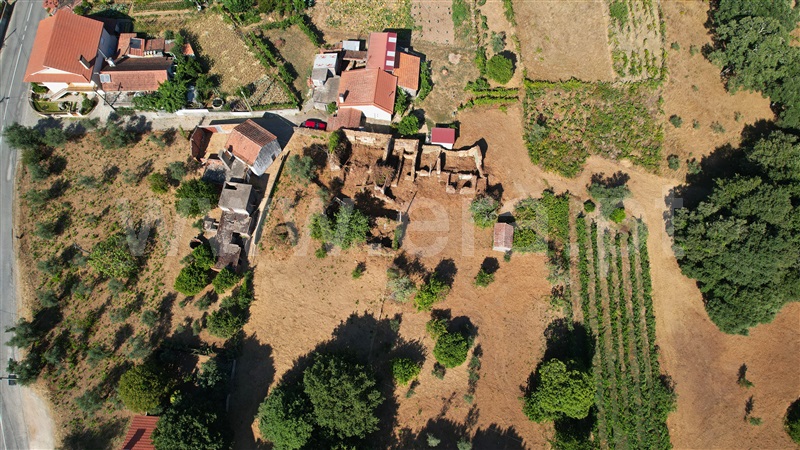 Terreno com ruina  Figueiró dos Vinhos, Arega - 1501353 - 12