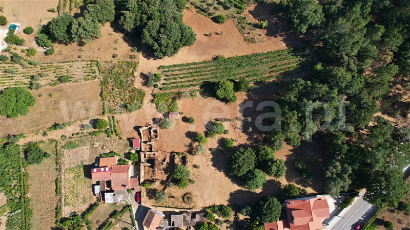 Terreno com ruina  Figueiró dos Vinhos, Arega - 1501353 - 13