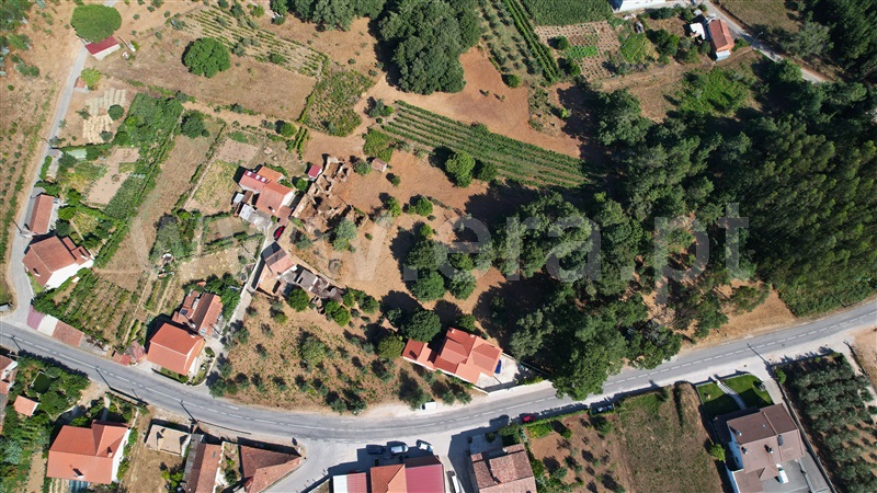 Terreno com ruina  Figueiró dos Vinhos, Arega - 1501353 - 14