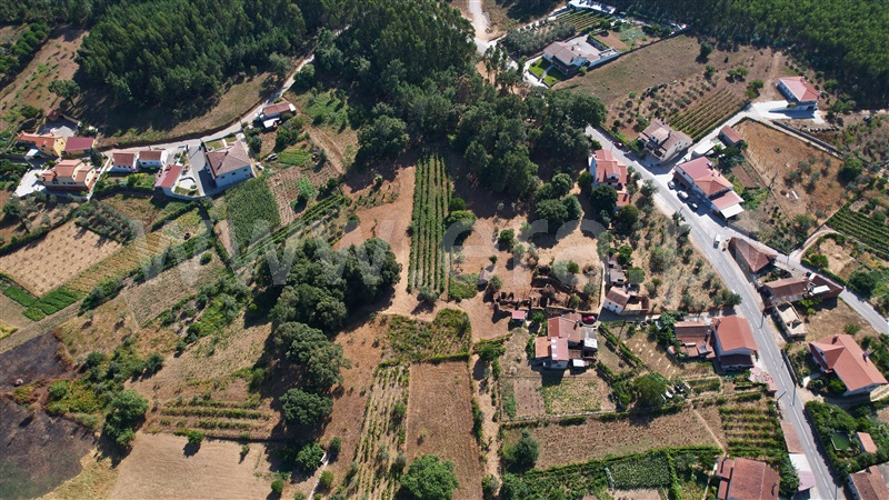 Terreno com ruina  Figueiró dos Vinhos, Arega - 1501353 - 15