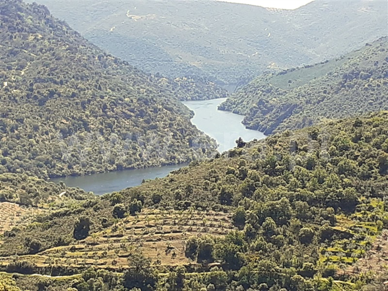Terreno com ruina  com Agrícola Freixo Espada à Cinta, Freixo de Espada à Cinta e Mazouco - 1356990 - 9