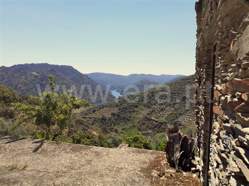 Terreno com ruina  com Agrícola Freixo Espada à Cinta, Freixo de Espada à Cinta e Mazouco - 1356990 - 11