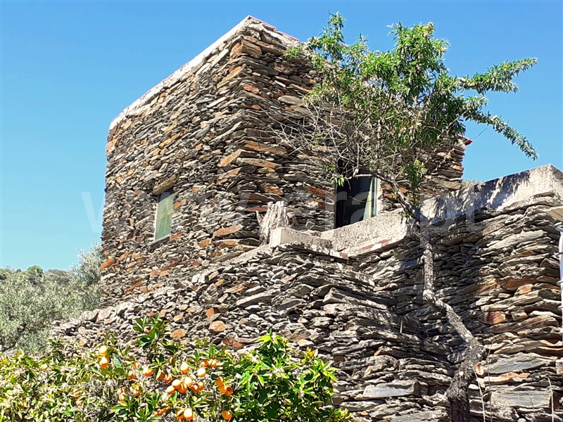 Terreno com ruina  com Agrícola Freixo Espada à Cinta, Freixo de Espada à Cinta e Mazouco - 1356990 - 12
