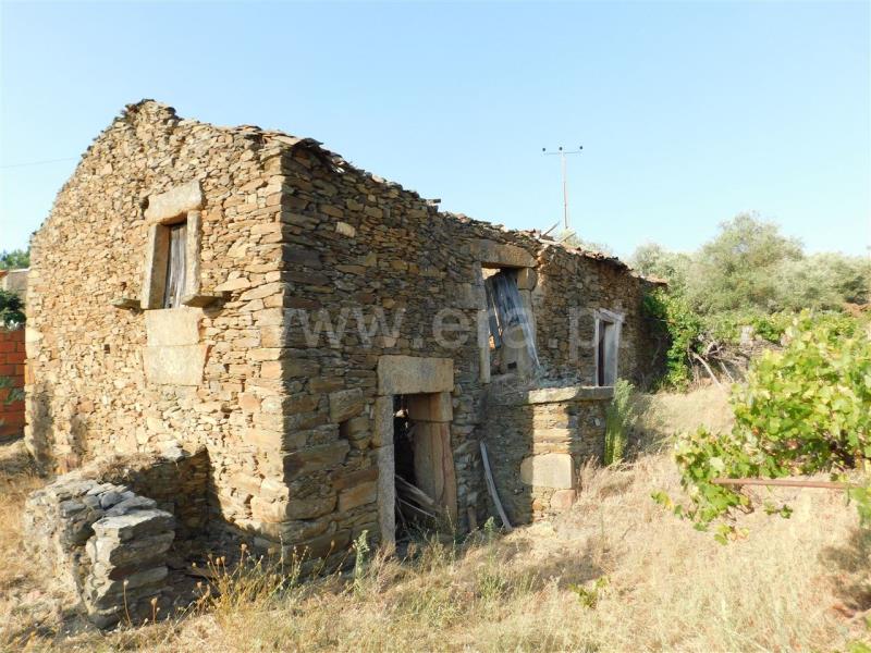 Terreno com ruina / Fundão, Enxames