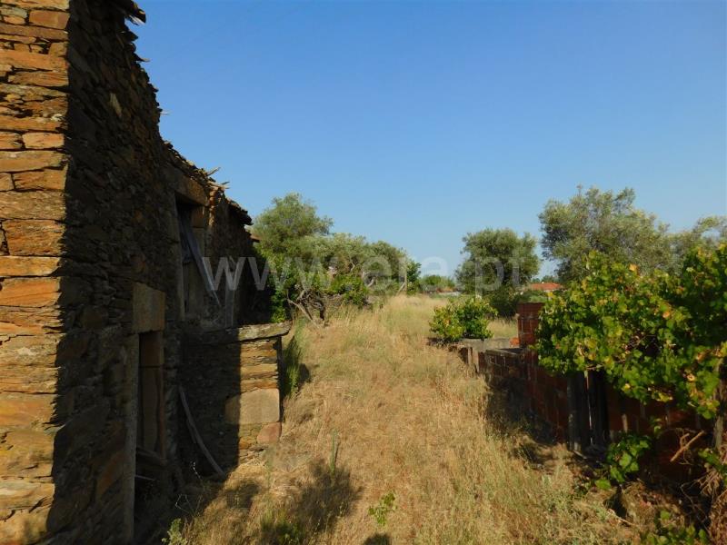 Terreno com ruina  Fundão, Enxames - 854859 - 2