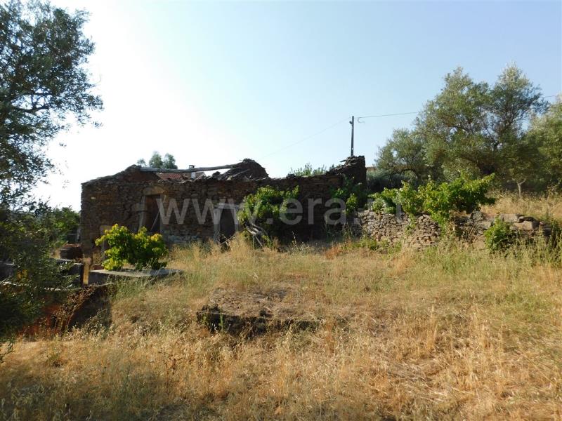 Terreno com ruina  Fundão, Enxames - 854859 - 6