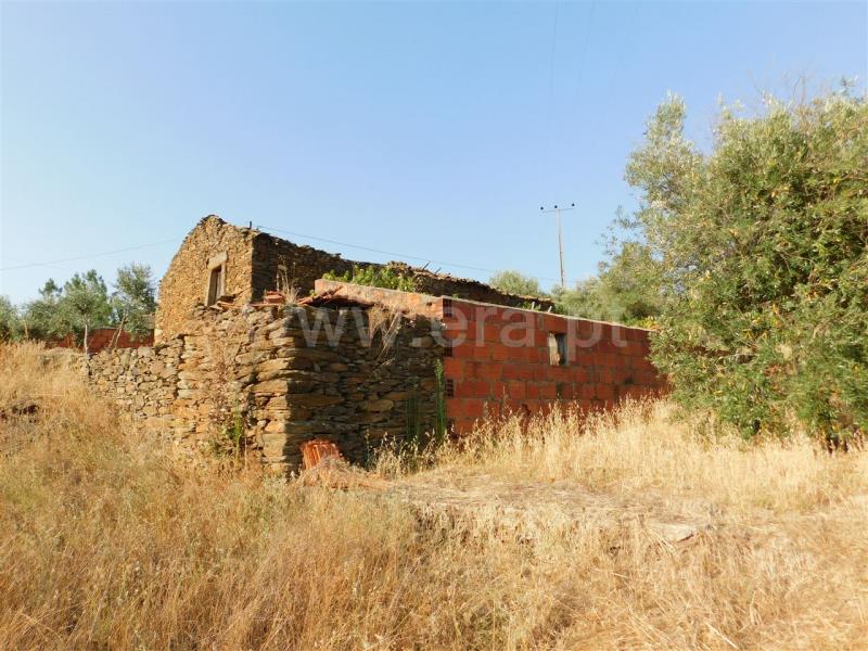 Terreno com ruina  Fundão, Enxames - 854859 - 7