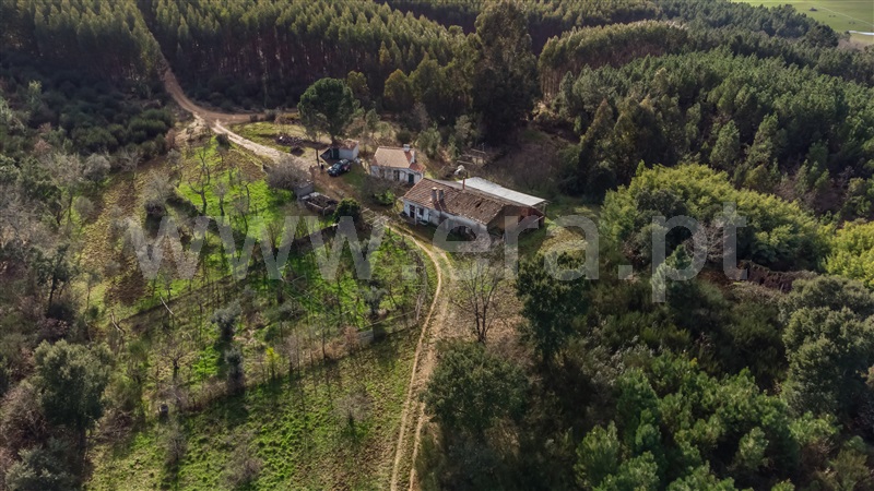 Terreno com ruina / Fundão, Fatela