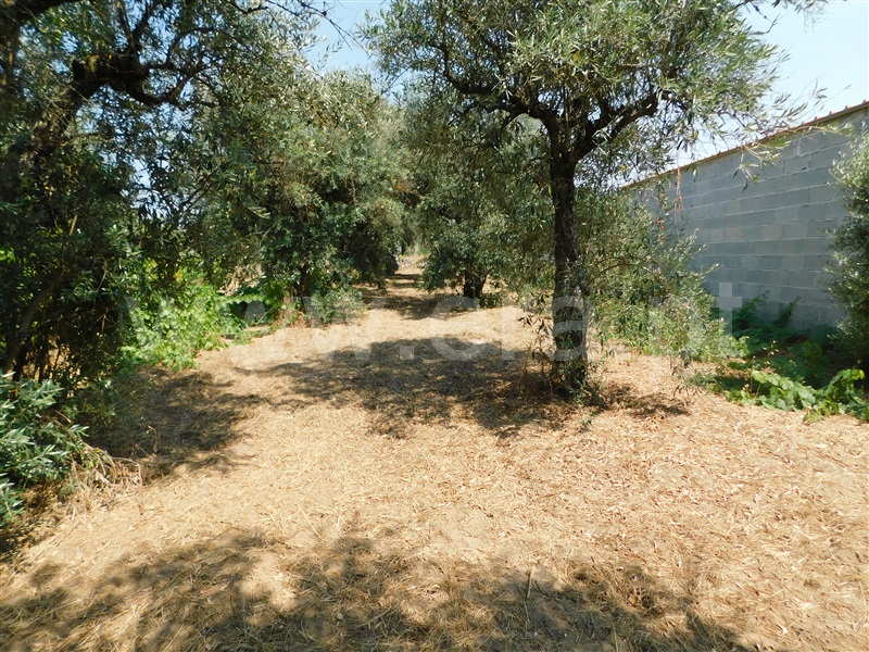 Terreno com ruina  Fundão, Fundão - 1502297 - 4