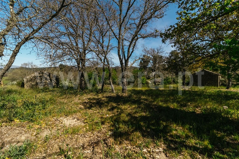 Terreno com ruina  Fundão, Pêro Viseu - 1319477 - 20