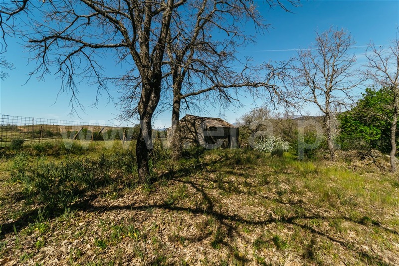 Terreno com ruina  Fundão, Pêro Viseu - 1319477 - 21