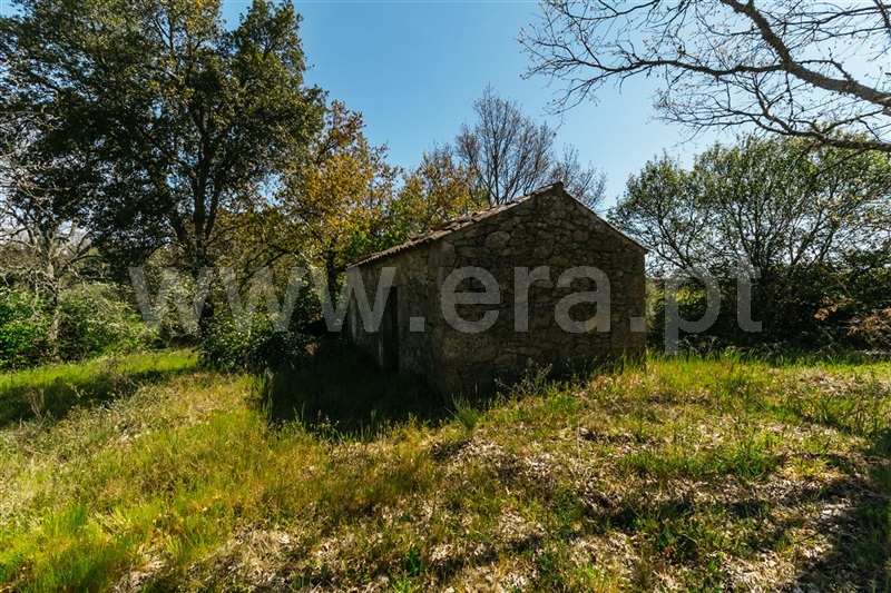 Terreno com ruina  Fundão, Pêro Viseu - 1319477 - 22