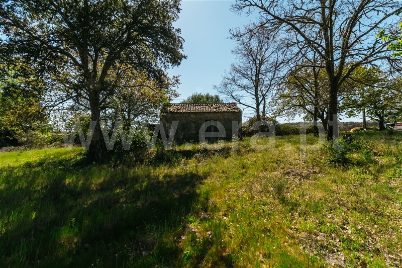 Terreno com ruina  Fundão, Pêro Viseu - 1319477 - 24