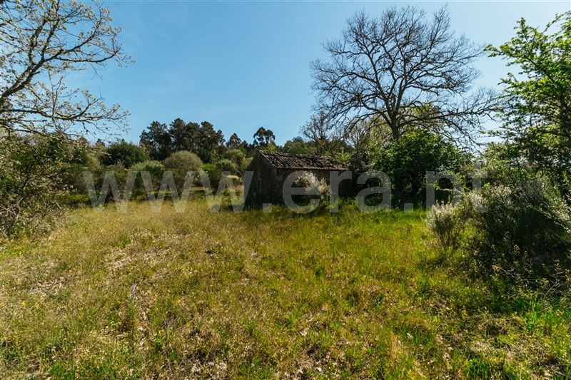 Terreno com ruina  Fundão, Pêro Viseu - 1319477 - 25