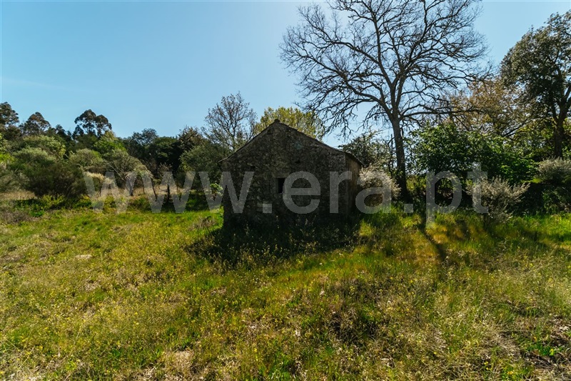 Terreno com ruina  Fundão, Pêro Viseu - 1319477 - 26