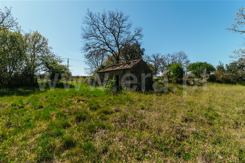 Terreno com ruina  Fundão, Pêro Viseu - 1319477 - 27