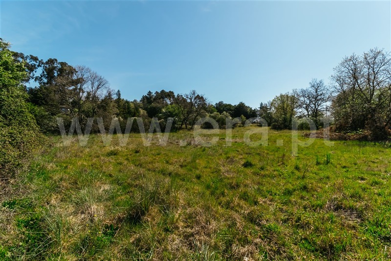 Terreno com ruina  Fundão, Pêro Viseu - 1319477 - 28