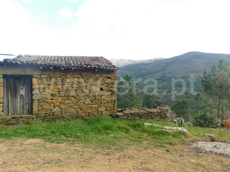 Terreno com ruina / Fundão, Souto da Casa
