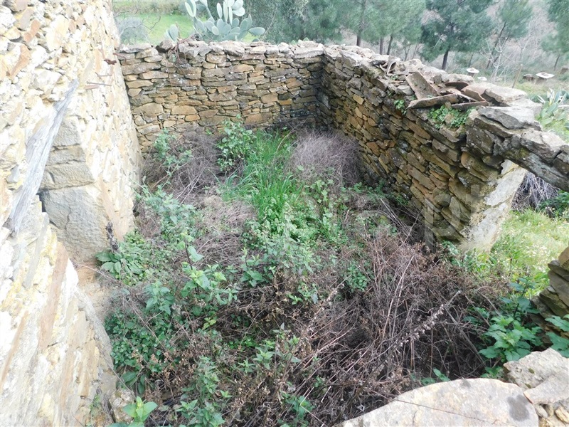 Terreno com ruina  Fundão, Souto da Casa - 1309659 - 2
