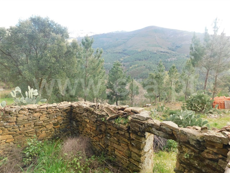 Terreno com ruina  Fundão, Souto da Casa - 1309659 - 4