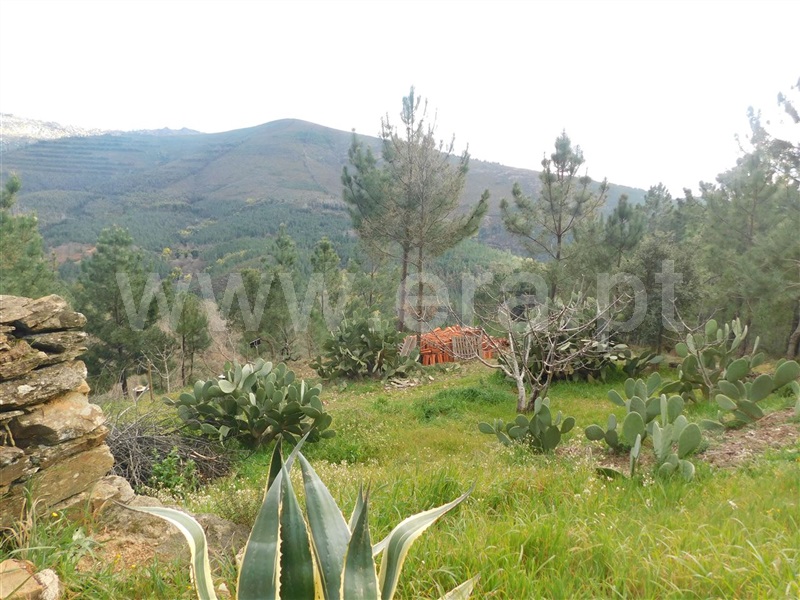 Terreno com ruina  Fundão, Souto da Casa - 1309659 - 5