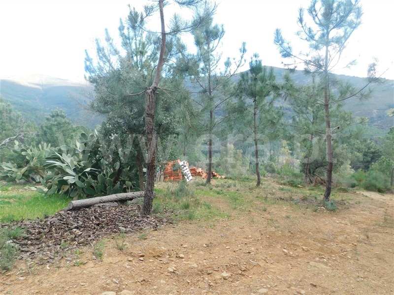 Terreno com ruina  Fundão, Souto da Casa - 1309659 - 6
