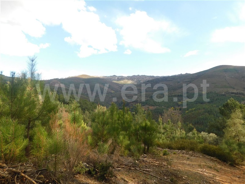 Terreno com ruina  Fundão, Souto da Casa - 1309659 - 7