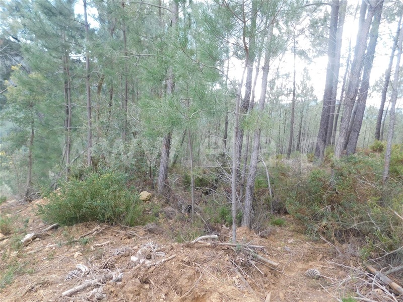 Terreno com ruina  Fundão, Souto da Casa - 1309659 - 9