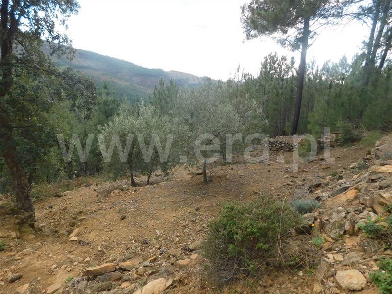 Terreno com ruina  Fundão, Souto da Casa - 1309659 - 11
