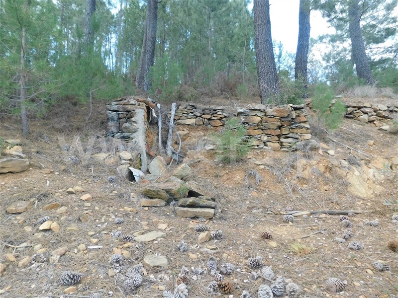 Terreno com ruina  Fundão, Souto da Casa - 1309659 - 14