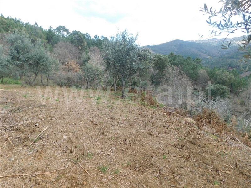 Terreno com ruina  Fundão, Souto da Casa - 1309659 - 16