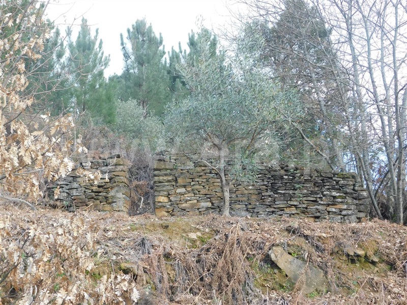 Terreno com ruina  Fundão, Souto da Casa - 1309659 - 19