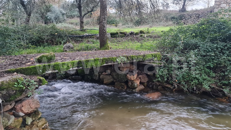 Terreno com ruina  Gouveia, Nespereira - 1365569 - 12