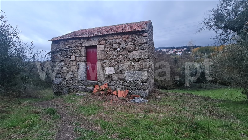 Terreno com ruina  Gouveia, Nespereira - 1365569 - 17